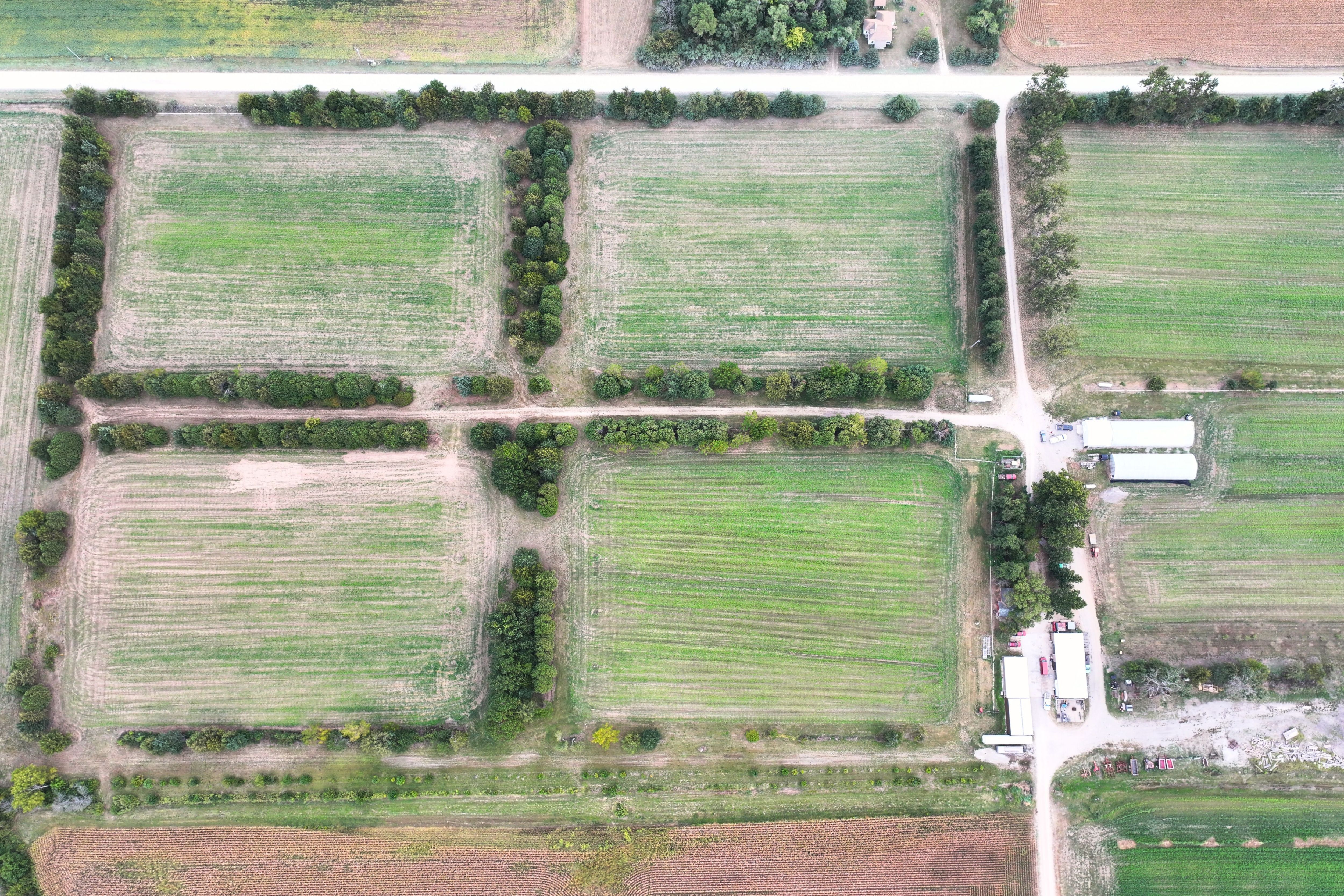 Listing Photo: Lee County, IA-57.56-Acres(5)